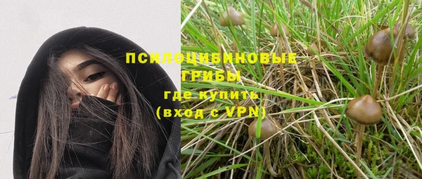 mdpv Зеленодольск