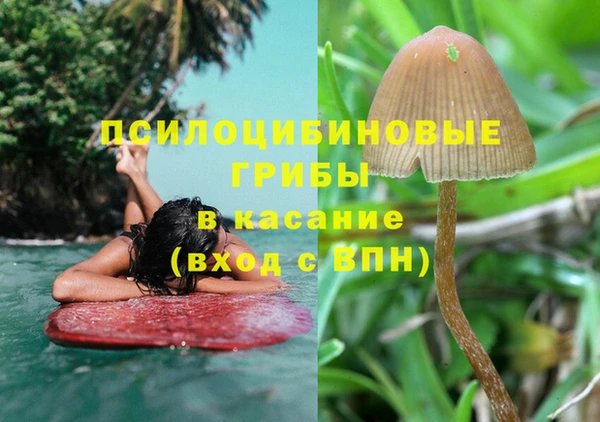 mdpv Зеленодольск