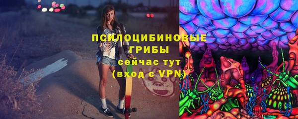 дмт Зеленокумск