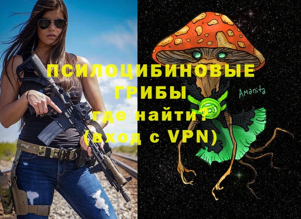 mdpv Зеленодольск