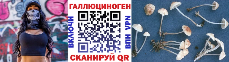 Купить  Изобильный  Галлюциногенные грибы прущие грибы 